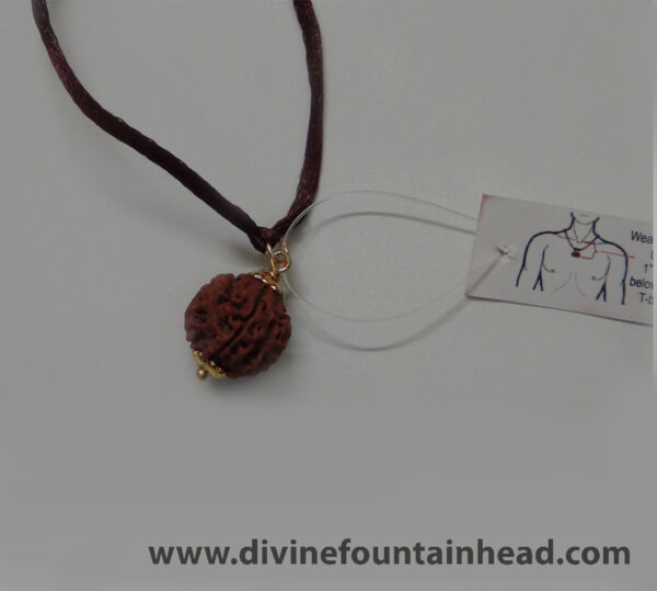 5 Facet Rudraksh Pendant (with satin string) - Image 3
