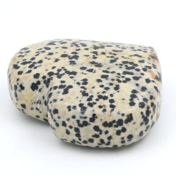 The Dalmation Heart - Image 3