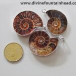 ammonite_pendant2