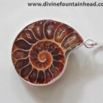 ammonite_pendant4