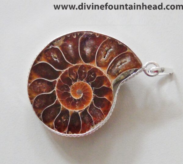 Ammonite Pendant - Image 4