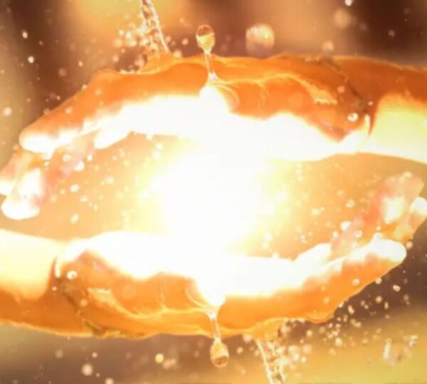 Reiki Course (Level- I to Level- III) - Image 1