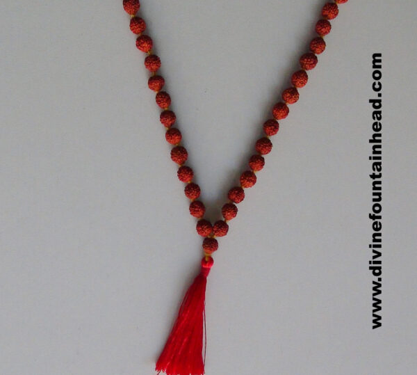 Rudrakash Mala - Image 3