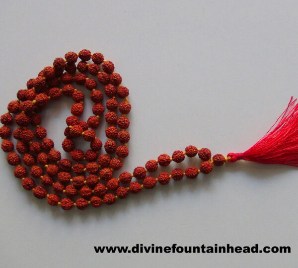 Rudrakash Mala - Image 4